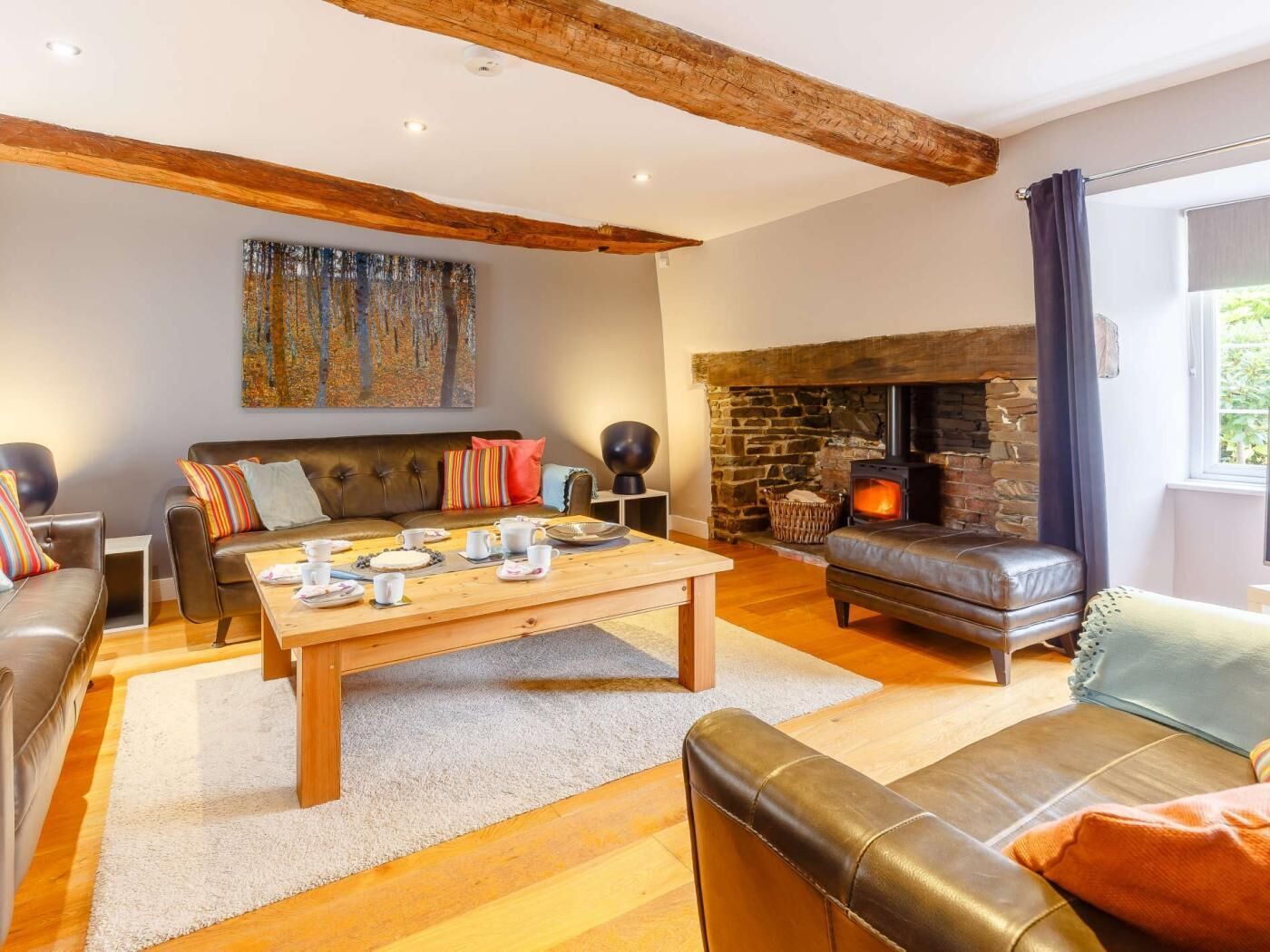 TV, fireplace