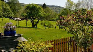 Ländliche Landschaft mit einem eingezäunten Bereich, Bäumen und einer Hügelkette im Hintergrund.