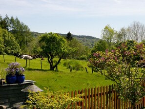 Property grounds - 1 Bed in Hawkshead (oc-llh16) (Hawkshead)
