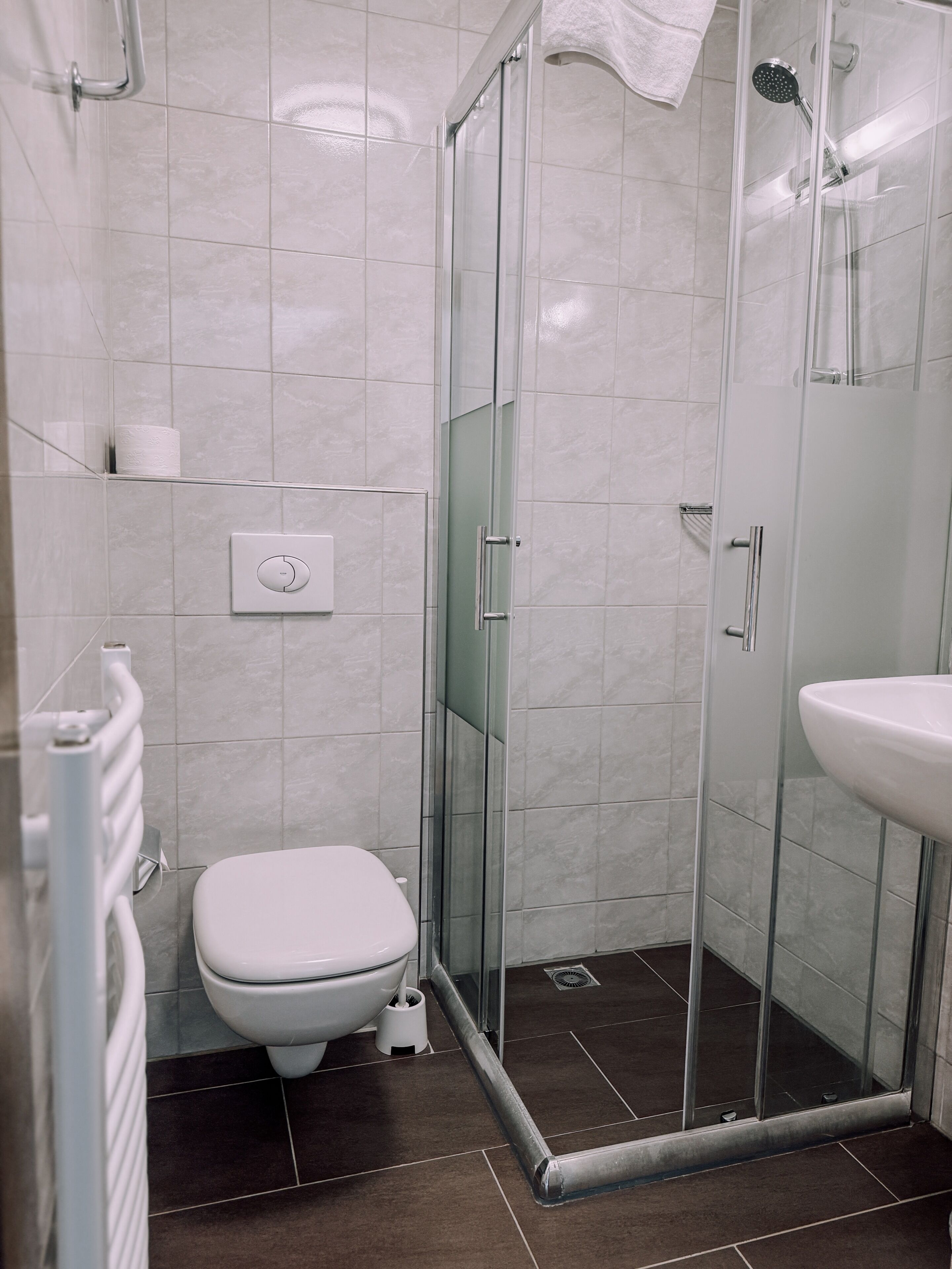 A modern bathroom with a glass shower enclosure, a toilet, a sink, and a towel rack.