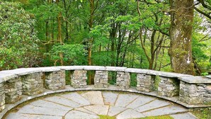 Uma ponte de pedra com design curvo, rodeada por vegetação exuberante e árvores.