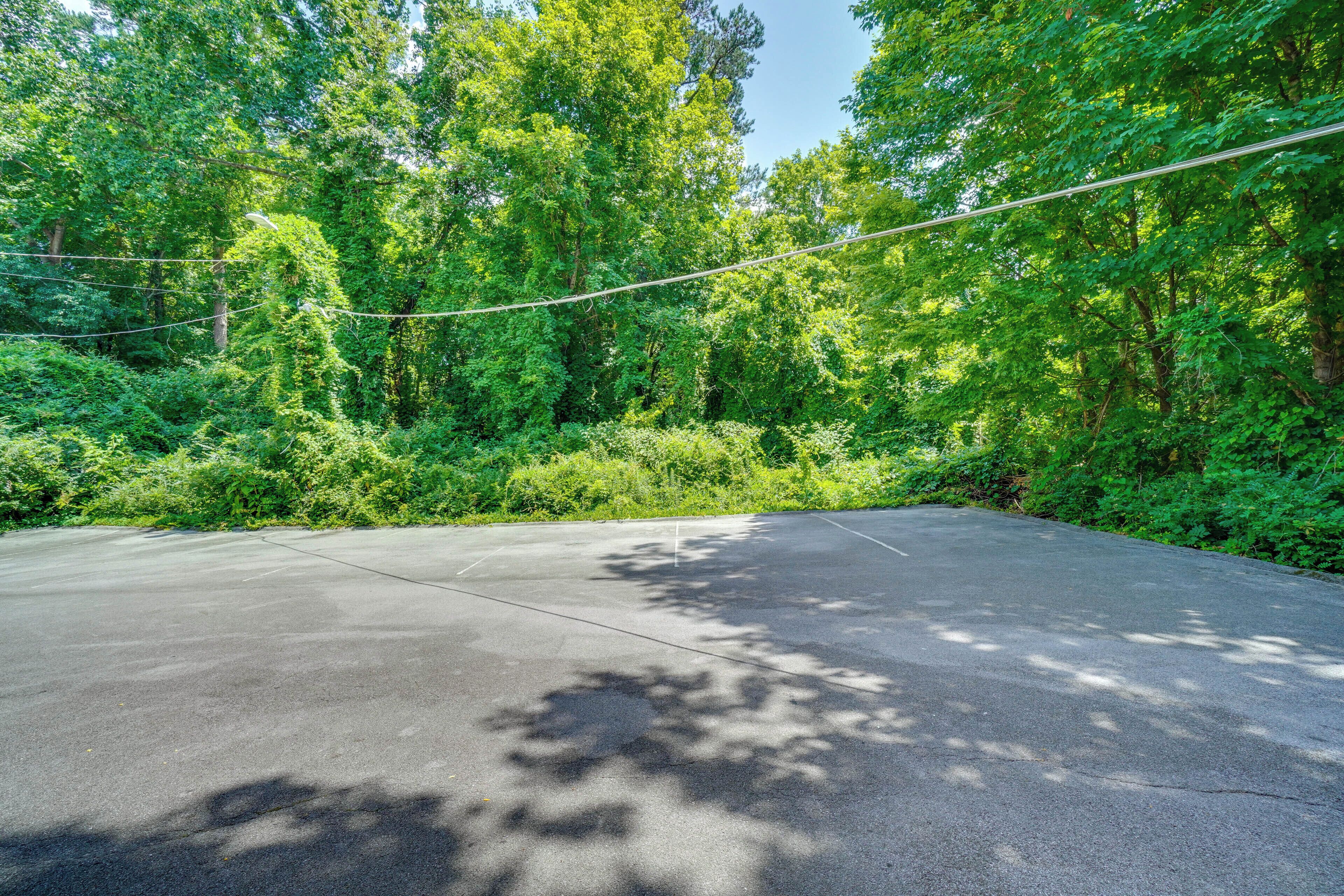A concrete parking area surrounded by dense green foliage.