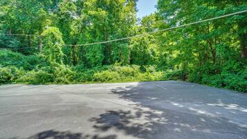 A concrete parking area surrounded by dense green foliage.