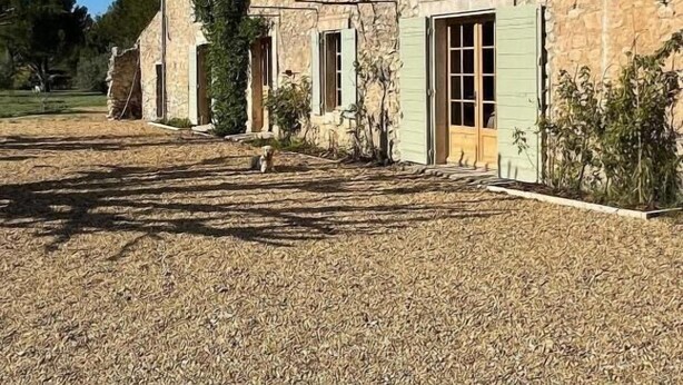 A stone building with multiple windows and doors, a gravel driveway, and a clear blue sky.