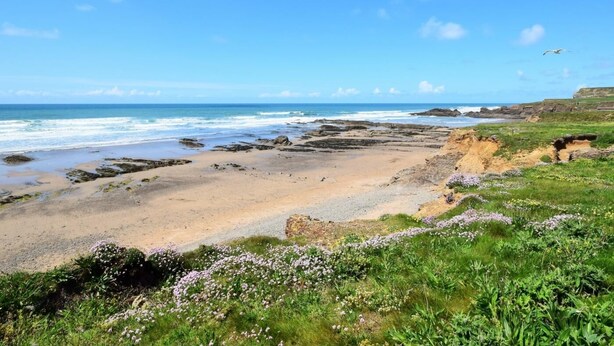 A coastal landscape with rocky terrain, a sandy beach, and wildflowers. - 4 Bed in Bude (oc-50591) (Bude)