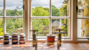 Ein Fenster mit Blick auf einen üppigen Garten und ein traditionelles Gebäude.