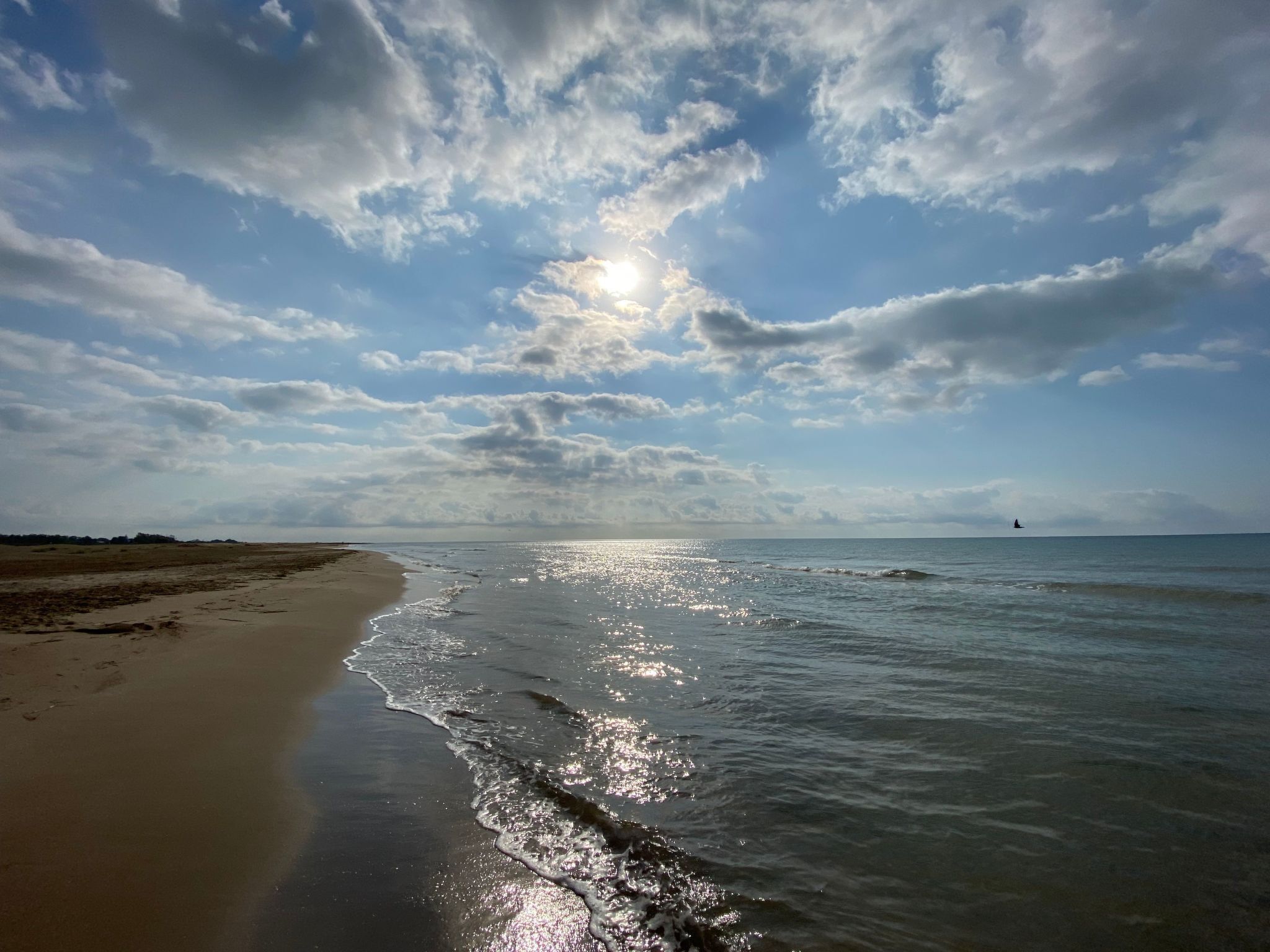 Een strand met golven, een heldere lucht en een boot in de verte.