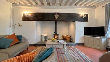 A living room with a sofa, a coffee table, a television, a fireplace, and a striped rug.