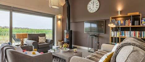 TV, fireplace