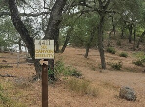A signpost with the number 4411 and the text 'SEE CANYON SERENITY' pointing to the right.