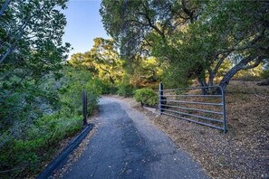 A paved pathway leading to a gated entrance surrounded by trees and shrubs.
