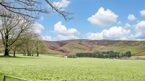 Un campo verde con una recinzione, alberi e colline sullo sfondo.