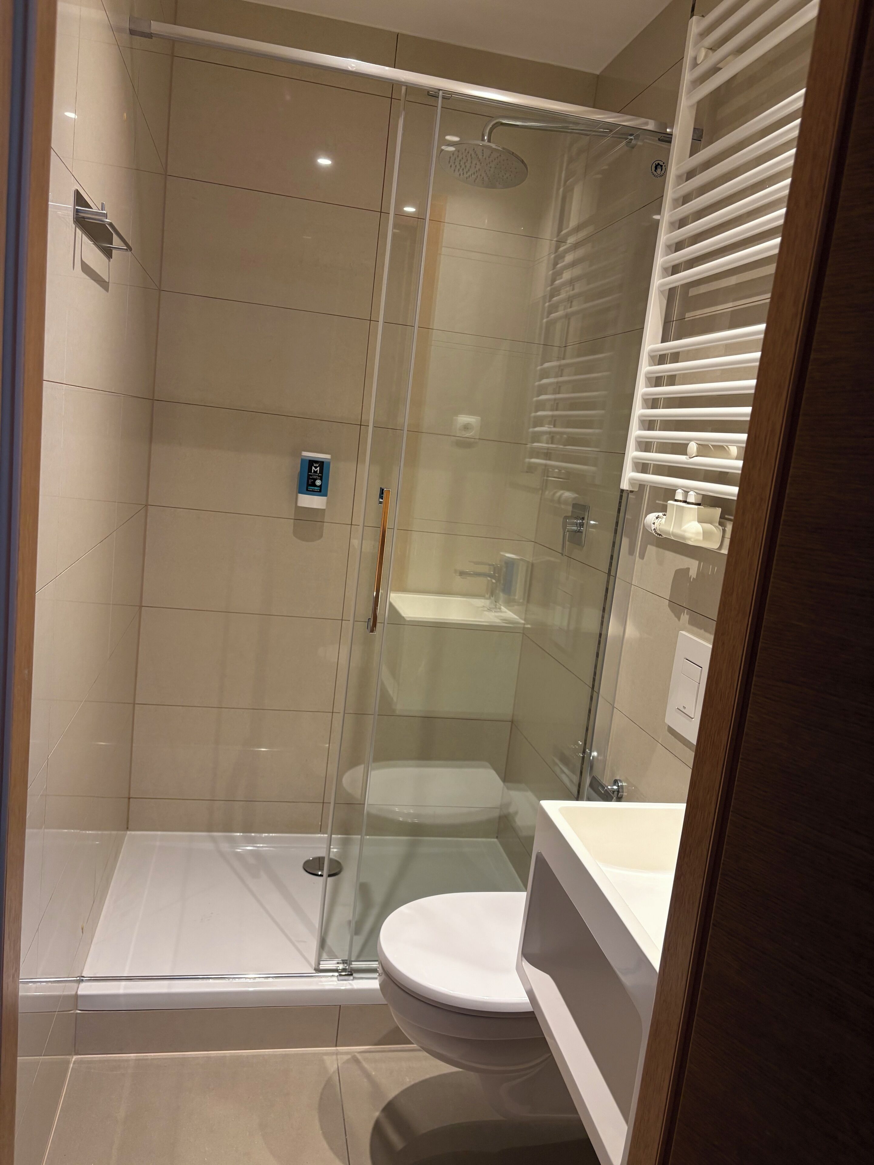 A modern bathroom with a glass-enclosed shower, a white toilet, and a vanity with a mirror.