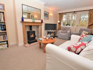 TV, fireplace - 2 Bed in Sherborne (oc-53673) (Chetnole)