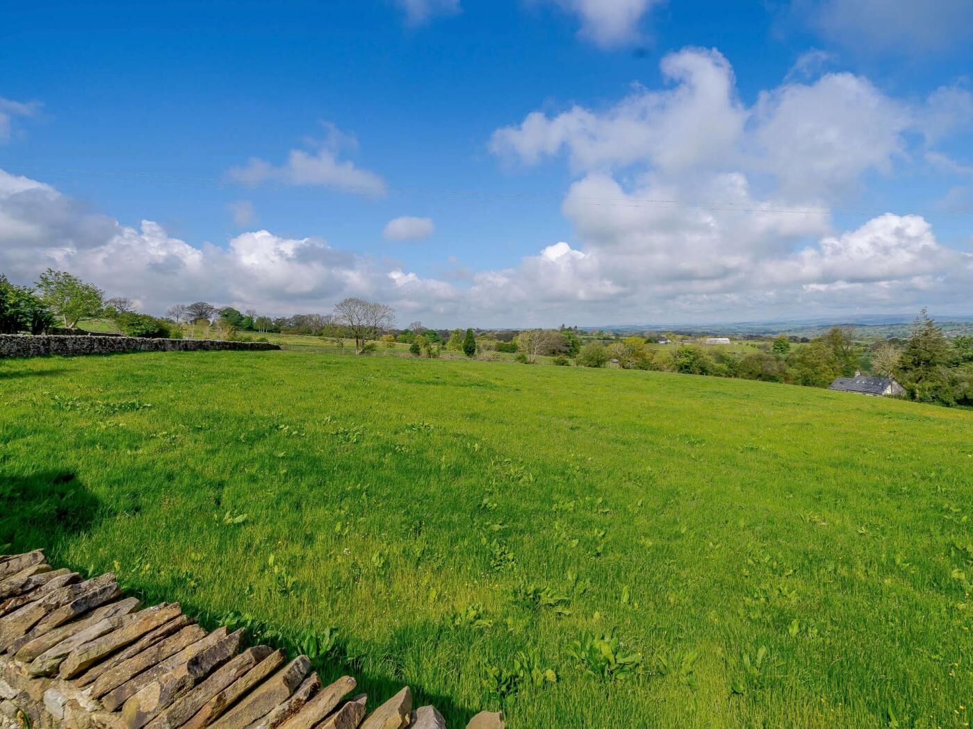 A grassy field with a stone wall and trees in the distance.