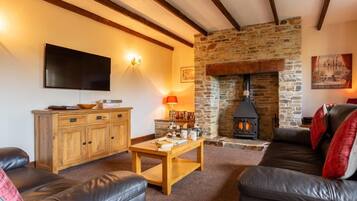TV, fireplace