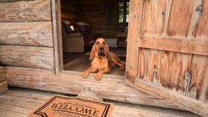 Eingang eines Holzchalets mit einem Hund darin, einer Fußmatte und Blick ins Innere.