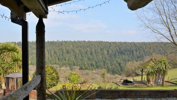 Blick auf einen bewaldeten Hang von einer überdachten Terrasse aus, mit einem Schotterweg und Kübelpflanzen.
