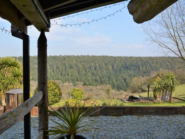 A view of a forested hillside from a covered outdoor area with a gravel path and potted plants.