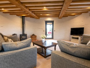 Fernseher, Kamin