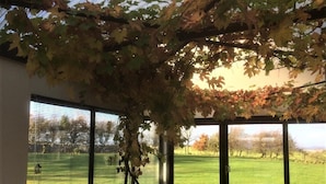 Ein Zimmer mit großem Fenster, einer Couch und Blick auf eine Grünfläche.