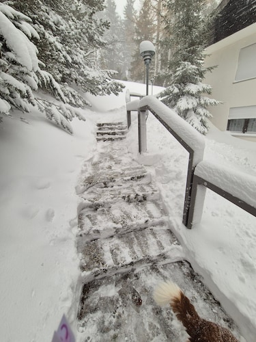 Apartment “Vacation in Schönwald” Mountain View, Balcony, Wi-Fi, Bright, High-Quality Amenities