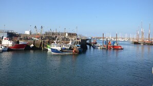 Una marina con barcos amarrados, cielo despejado y edificios industriales al fondo.