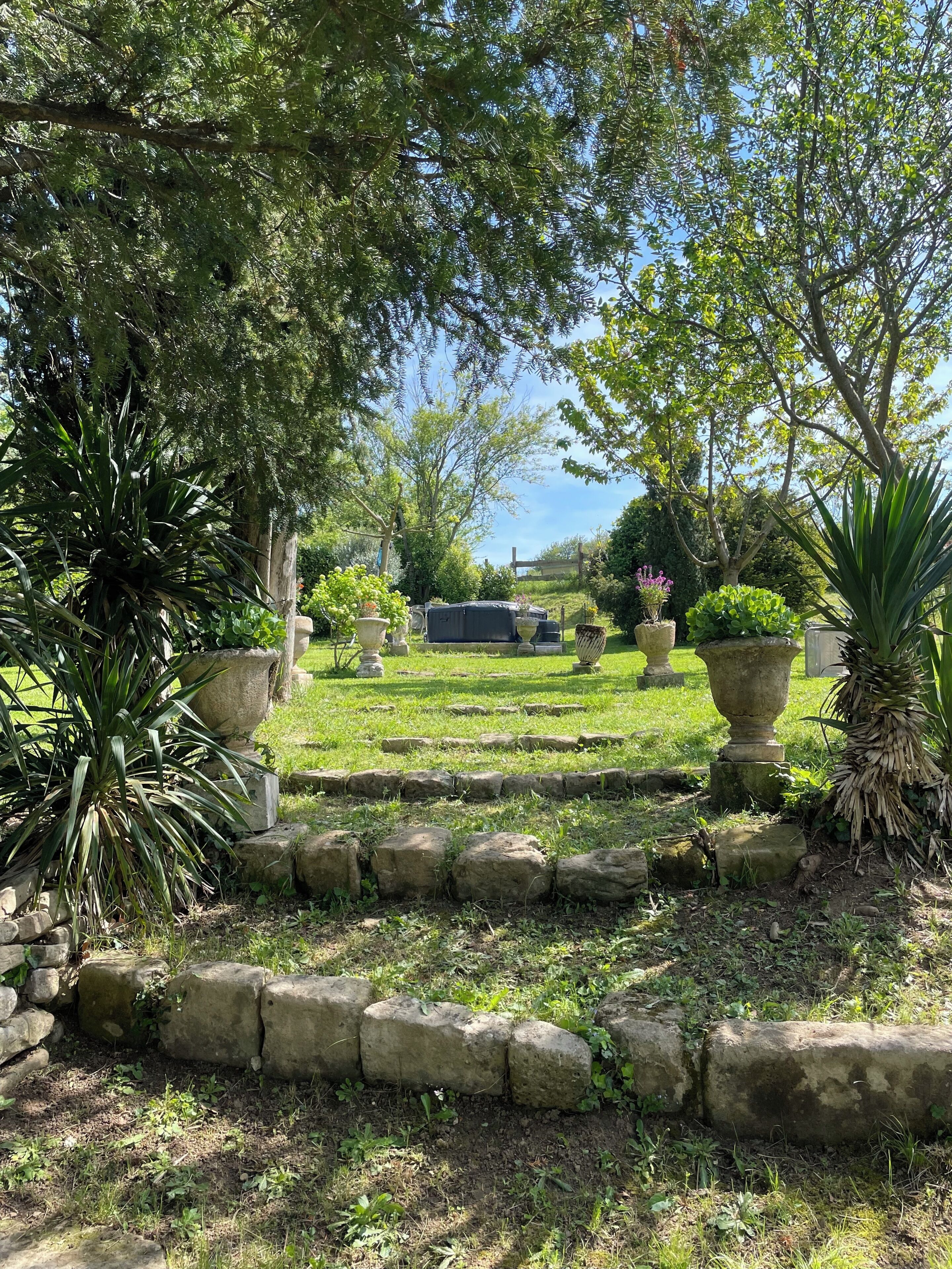 A garden pathway with stone borders, potted plants, and a clear sky.