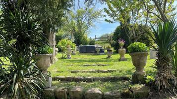 A garden pathway with stone borders, potted plants, and a clear sky.