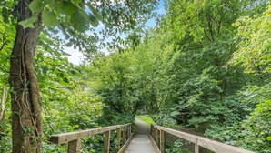 A wooden bridge in a forested area. - 3 Bed in Lampeter (oc-55308) (Ciliau Aeron)