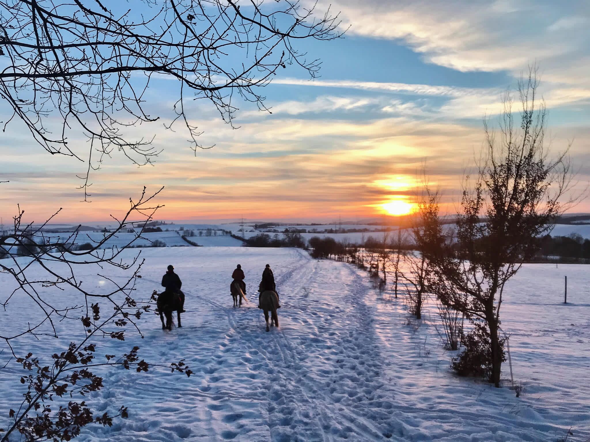 A snowy landscape with a path and three people riding horses.