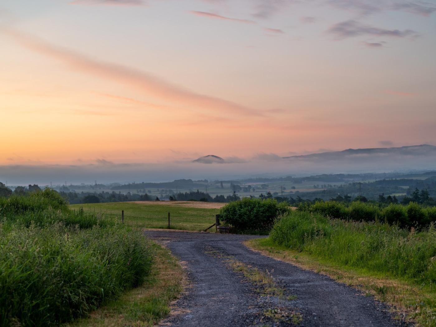 Ländliche Landschaft mit einem Schotterweg, der durch Felder führt, umgeben von Grünflächen und einem nebligen Hintergrund.