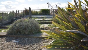 Un jardín con diversas plantas, una valla de madera y un camino de grava.
