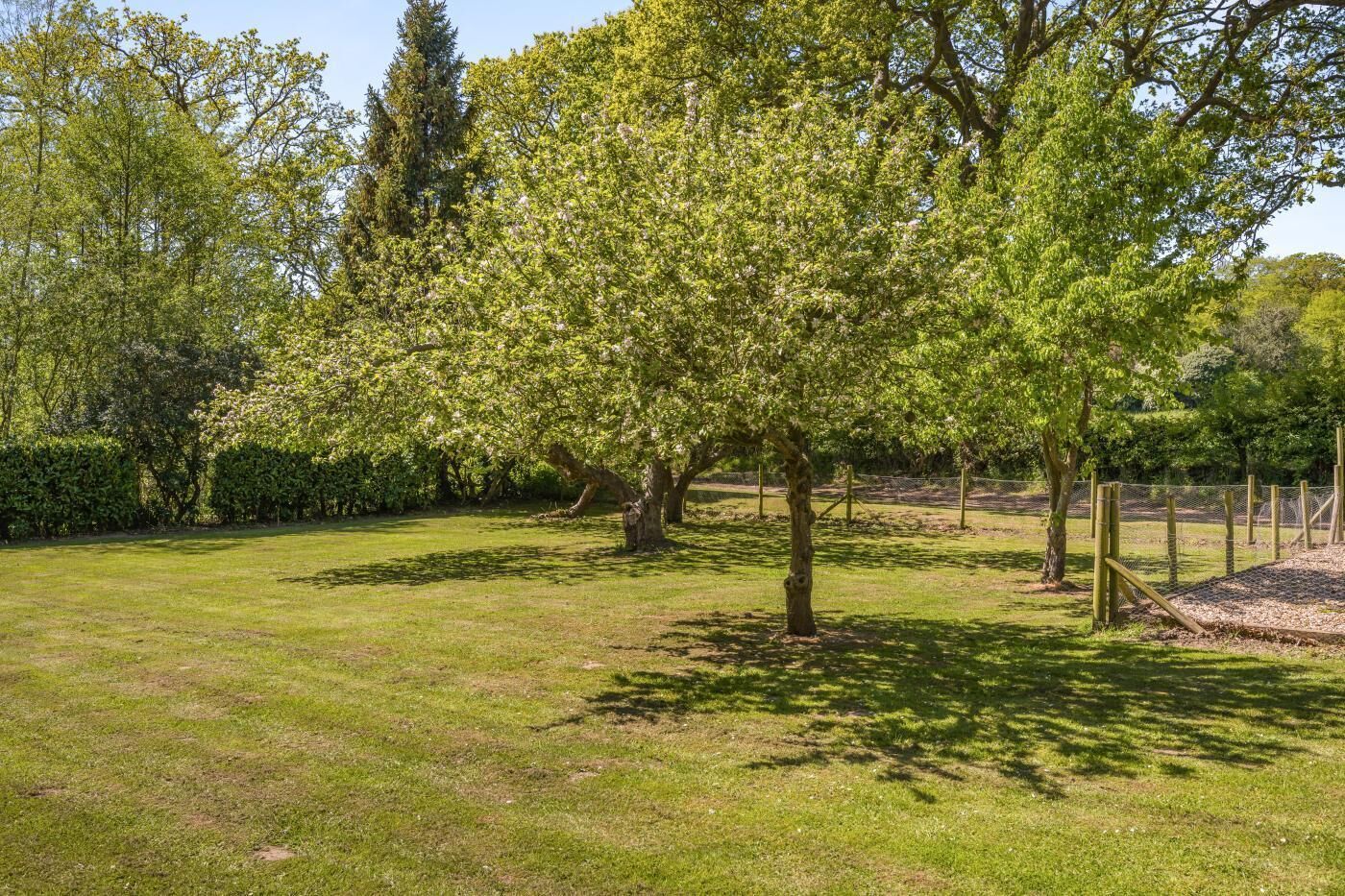 Un espace extérieur verdoyant, avec des arbres et une zone délimitée par une clôture.