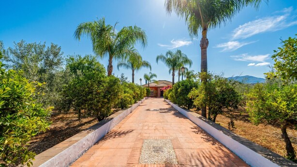 Un camí que condueix a un edifici amb teulada vermella, envoltat de palmeres i vegetació.