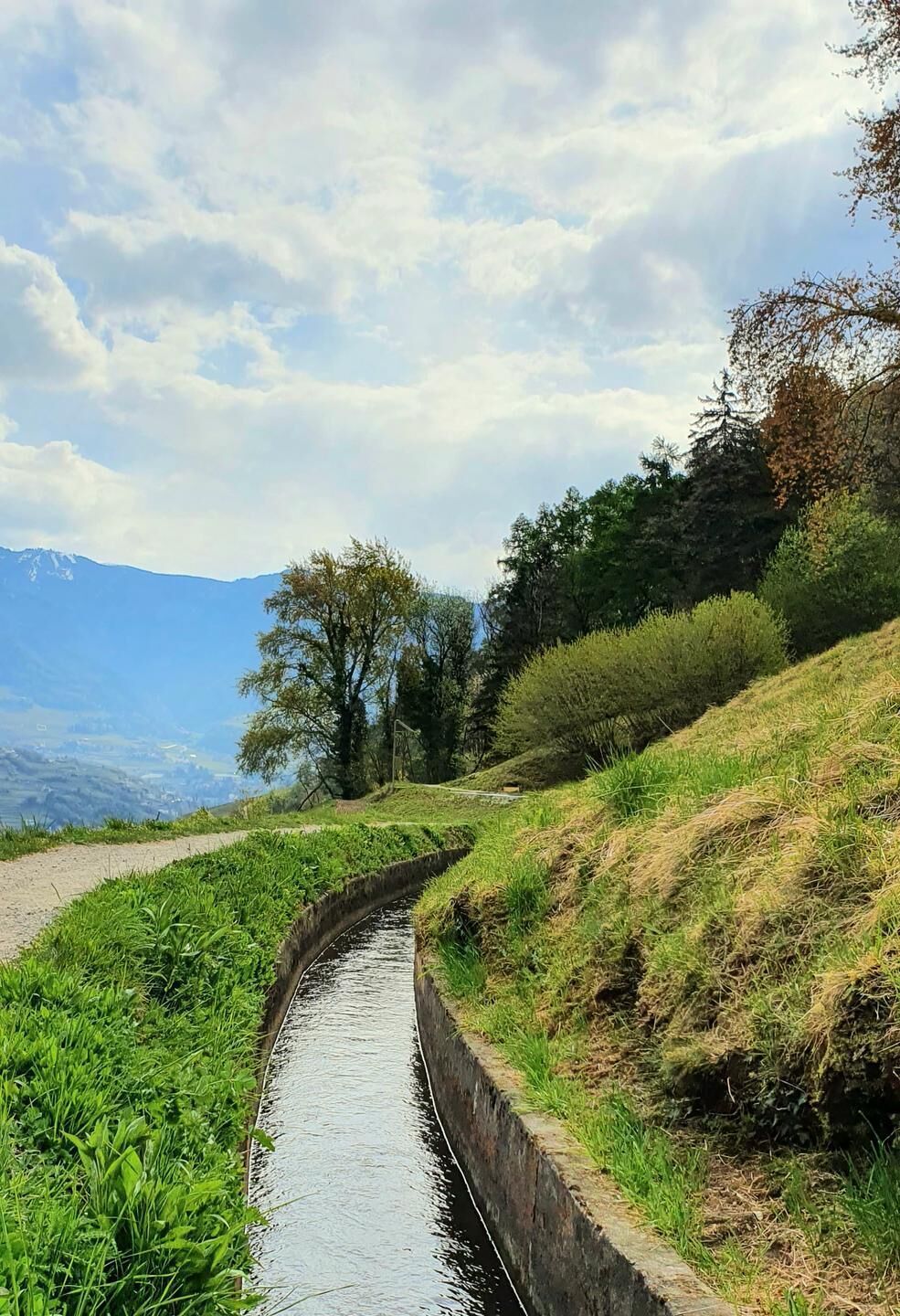 A narrow water channel bordered by grass and trees, with a road on one side and a mountain in the distance.