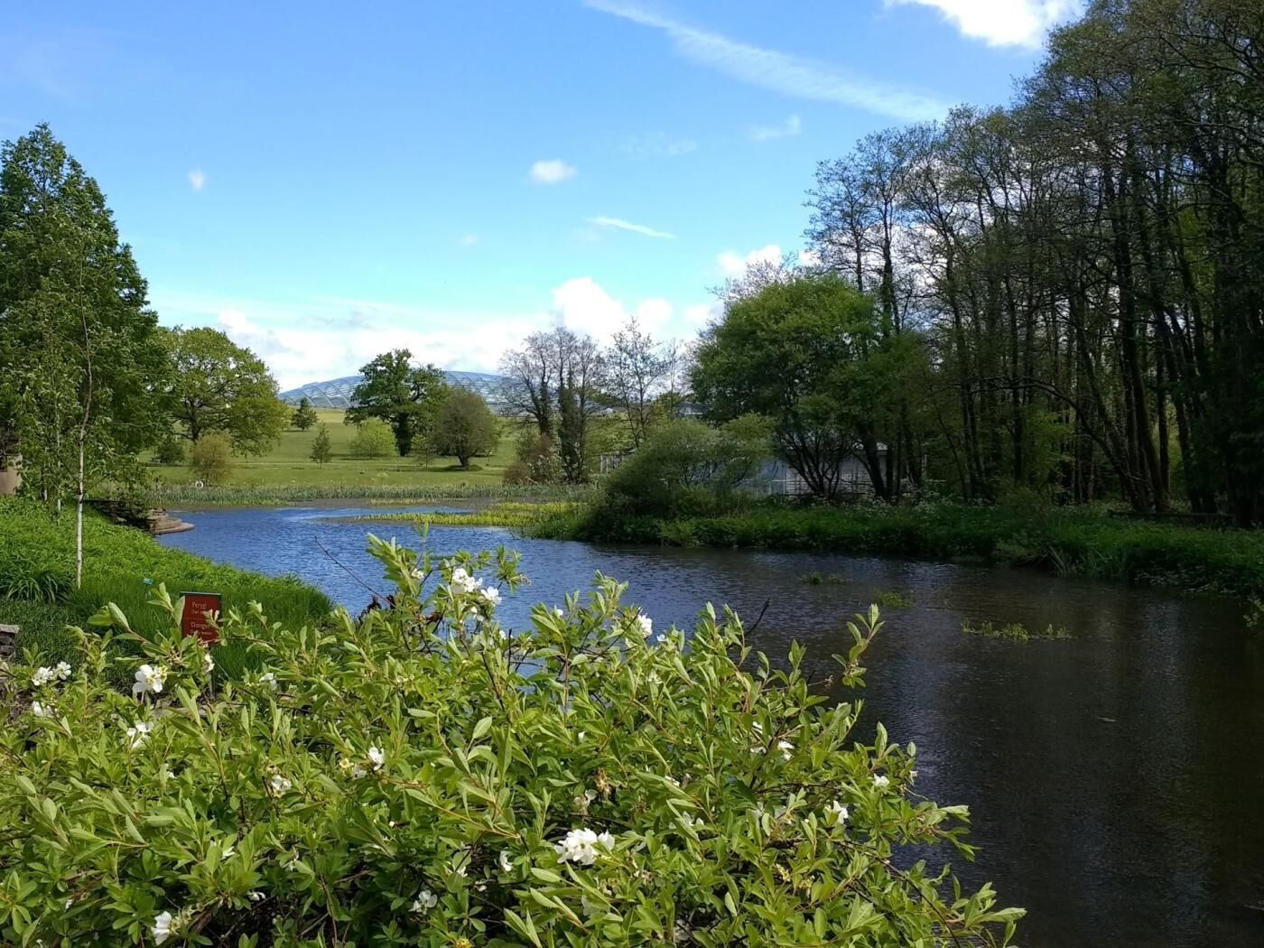 A river with a sign, surrounded by greenery and trees.