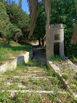 Property grounds - The historic Sicilian farmhouse nestled amid 7 hectares of organic olive groves (Sicilia)