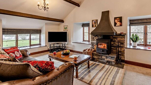 Una sala de estar con chimenea, televisor y un amplio ventanal.