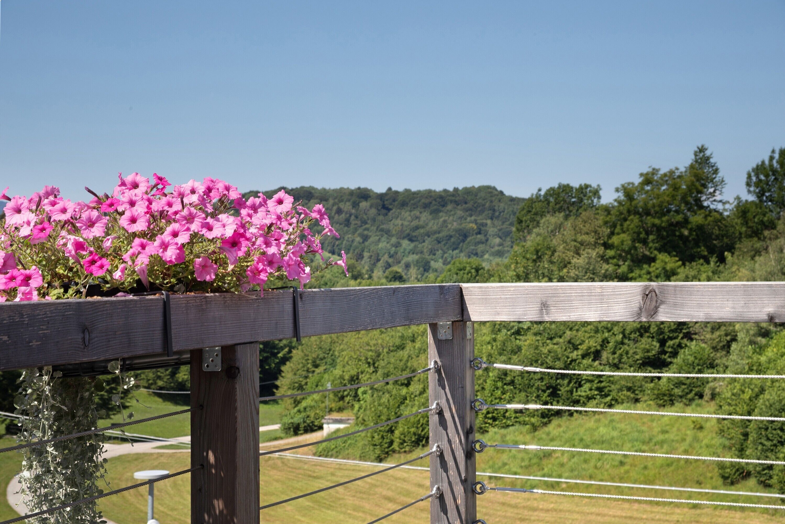 Ein Holzzaun mit einem Blumenkasten mit rosa Blumen, einem Metallgeländer und Blick auf eine grüne Landschaft mit Bäumen und blauem Himmel.