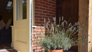 Uma planta de lavanda em vaso na frente de um prédio com porta amarela e parede de tijolos.