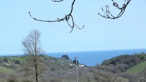A rural landscape with a single yellow flower in the foreground, a leafless tree, and a distant view of the sea. - 1 Bed in St. Austell (oc-58376) (Pentewan Valley)