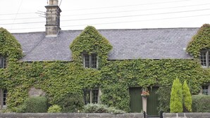 A building with ivy-covered walls, a stone chimney, and a stone wall in front. - 3 Bed in Backworth (oc-cn011) (Backworth)