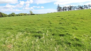 Un campo cubierto de césped con una valla en primer plano y árboles al fondo.