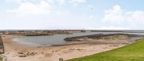 A coastal landscape with a sandy beach, a grassy area, and a stone wall.