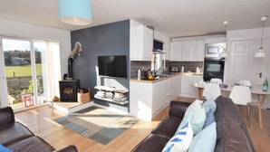 A modern living room with a fireplace, a television, and a sofa. - 3 Bed in Alnwick (oc-cn132) (Christon Bank)