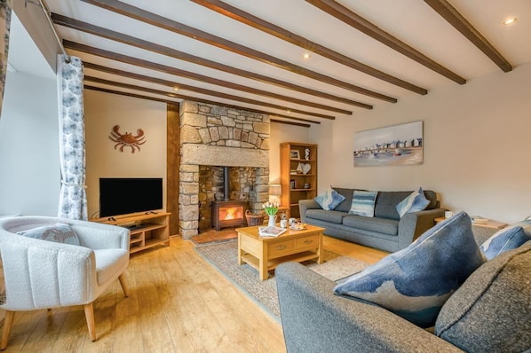 TV, fireplace - 3 Bed in Seahouses (oc-cn103) (Seahouses)