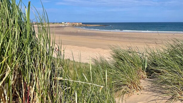 Ein Strand mit Sand und Gras im Vordergrund, ein klarer Himmel und ruhiges Meer.