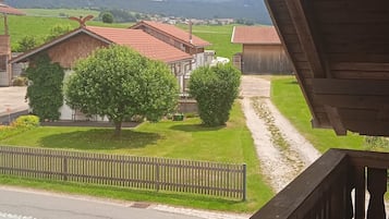 Terras
