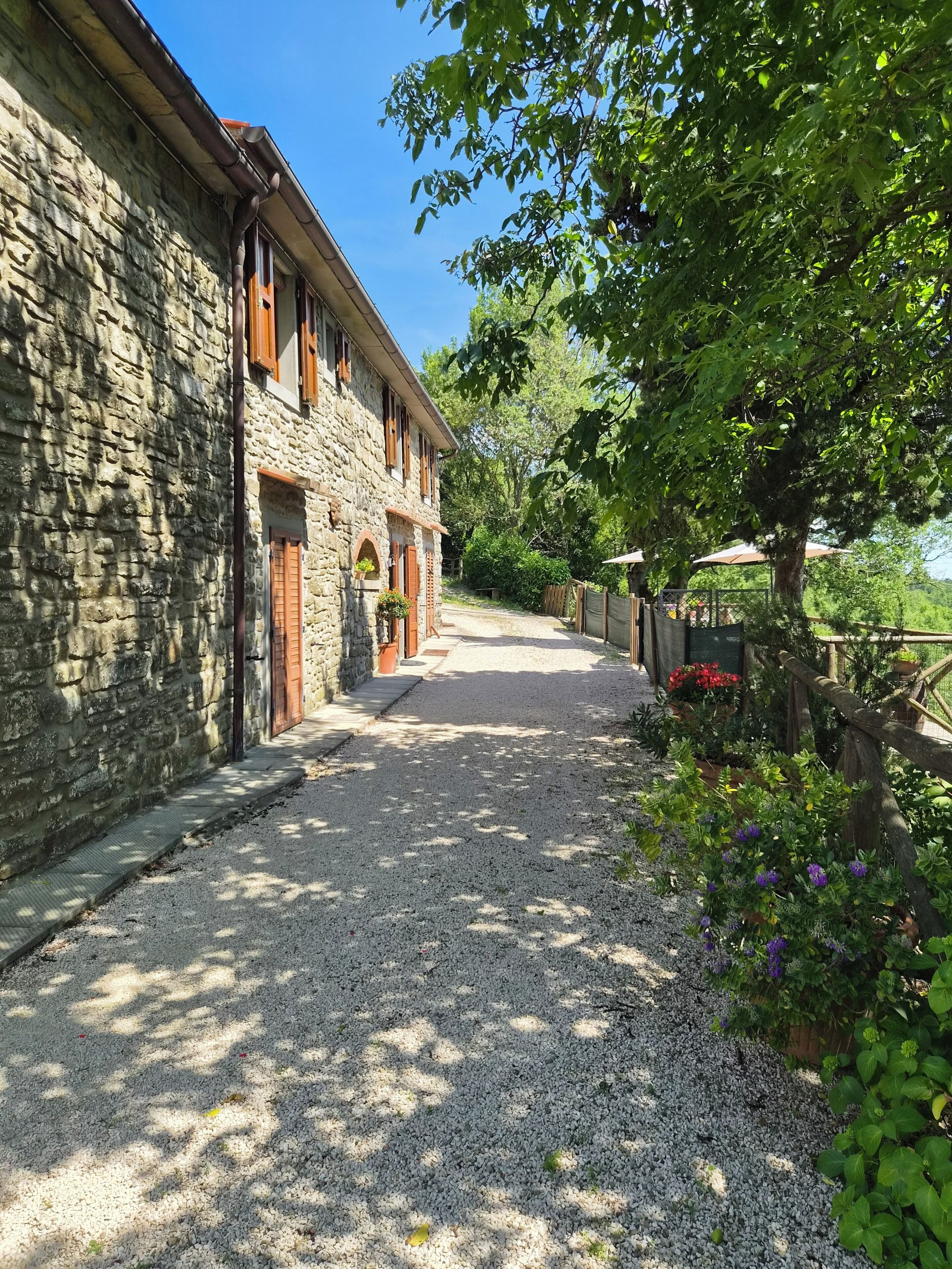 Esterni